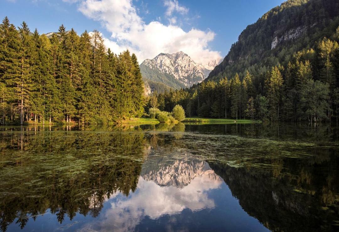 Boutique Hotel Vila Planinka Zgornje Jezersko Exteriör bild