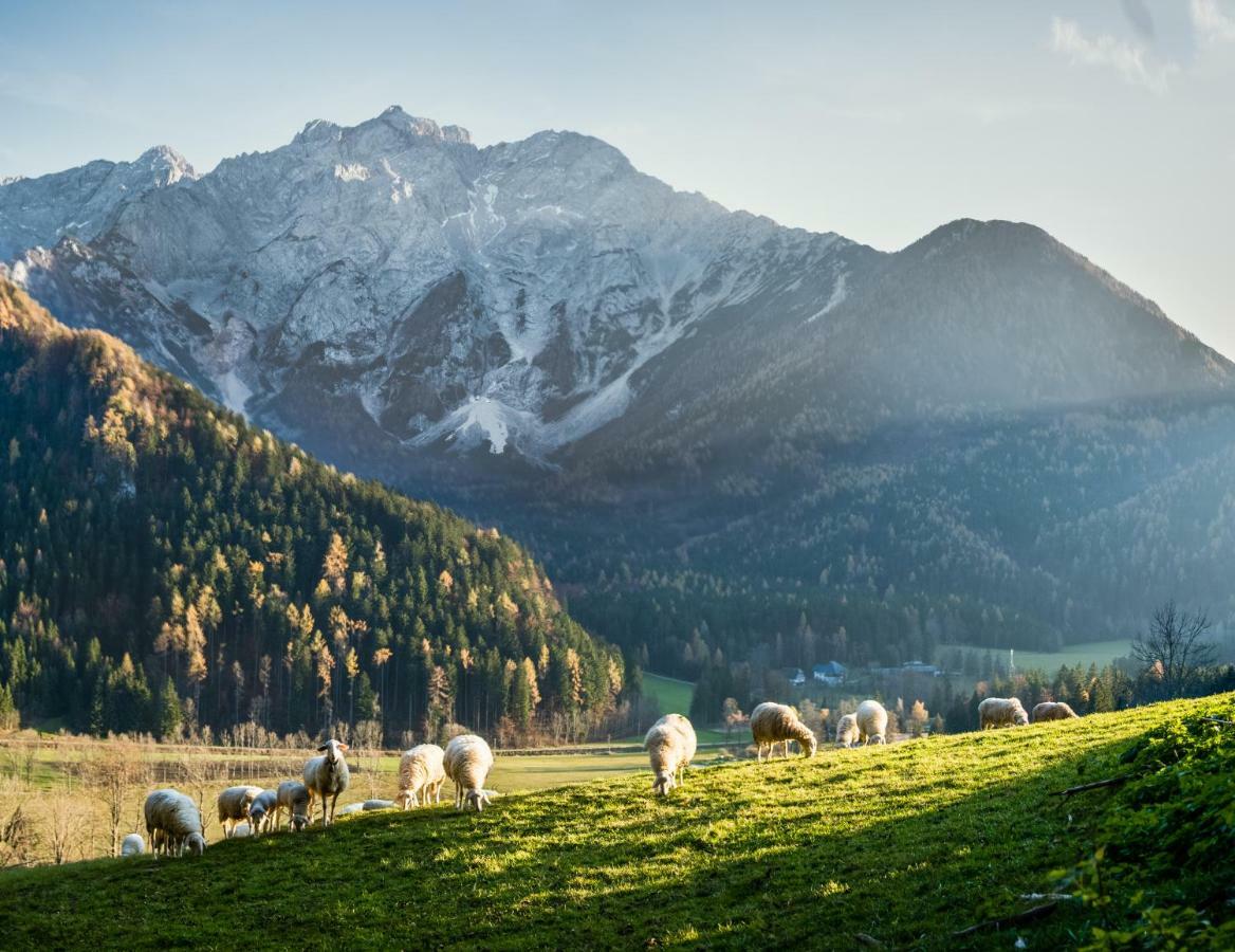 Boutique Hotel Vila Planinka Zgornje Jezersko Exteriör bild
